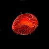 Der Feueropal zählt zu den Edel-Opalen viele Sagen der Ureinwohner Südamerikas ranken um diesen Stein. Der Feueropal hat seinen Namen von seiner feuerroten Farbe. Sie schwankt zwischen gelblichrot und bräunlichrot. Er ist oft ist er milchig trüb, seltener klar durchsichtig. Der Feueropal zählt wie die anderen Opale, zur Gruppe der amorphen Quarze. Im Gegensatz zum Edelopal zeigt er kein opalisieren. Alexander Freiherr von Humboldt brachte die ersten Feueropale 1804 von Mexiko nach Europa.